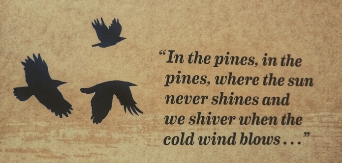 Silhouette illustration of 3crows and the song lyrics 'In the pines, in the pines, where the sun never shines and we shiver when the cold wind blows ... " 
