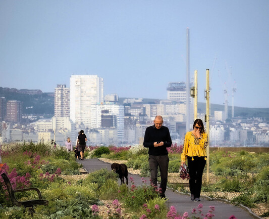 Extreme telephoto image of Shoreham Boardwalk showing a couple and a dog in a very compressed image with Brighton skyline behind. 