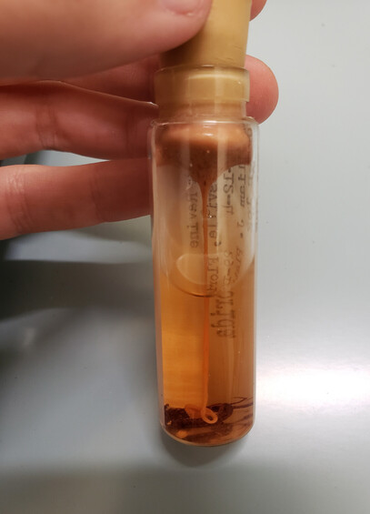 Ethanol solution with wax dripping from the stopper into the solution and onto the specimen