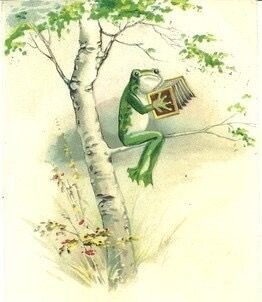 Watercolor of a frog playing a concertina or bandoneon while sitting on a narrow limb of a birch tree.  