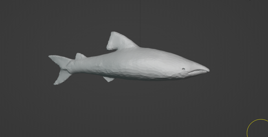 A screenshot of a partly finished sculpt of a salmon