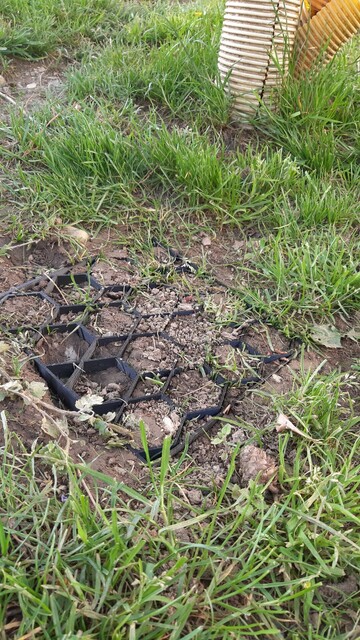 grass reinforcement mesh