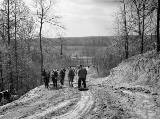 Carl Mydan's black-and-white photograph from 1936 shows a team of mules being used in building a road on a hillside near Memphis, Tennessee.