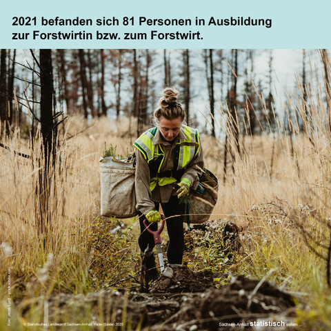 Foto einer Frau im Wald mit Sicherheitsweste und Taschen voller Baumsetzlinge beim Graben eines Loches mit einem Spaten und dem Text 2021 befanden sich 81 Personen in Ausbildung zur Forstwirtin bzw. zum Forstwirt.