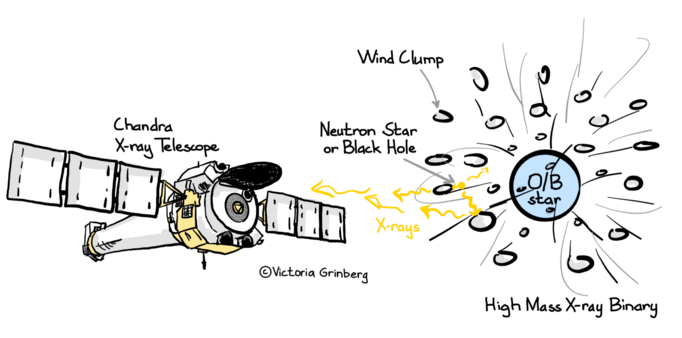 A cartoon of the Chandra X-ray telescope looking at at O/B star with a black hole. X-rays from close to the black hole have to pass through the clumpy stellar wind before they reach Chandra.
