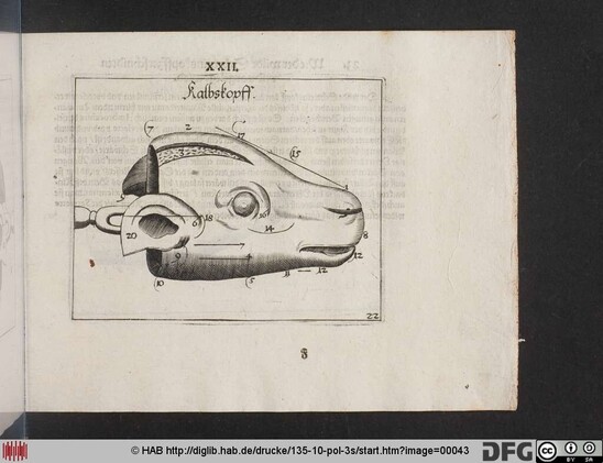 A page from the book is shown: how to slice the head of a calf.