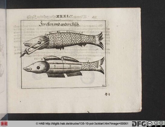 A page of the book is shown: how to cut fish. 