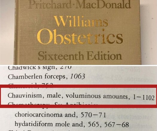 The top half of the image is a book with the title “Williams Obstetrics, Sixteenth Edition”” written by  Pritchard • MacDonald.
At the bottom of the image, is a photo of the Index.

Chadwick s sign, L/U
Chamberlen forceps, 1063
Chauvinism, male, voluminous amounts, 1- 1102
choriocarcinoma and, 570-71
hydatidiform mole and, 565, 567 -68

The line for Chauvinism, Male is circled, and is assumed to include the entirely of the book.