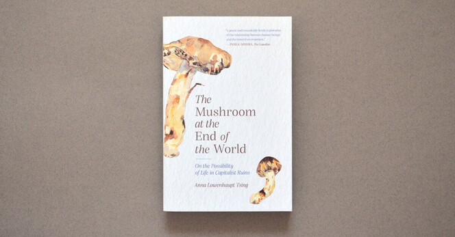 Soft brown background with The Mushroom at the End of the World laying cover up. Cover is grey and textured with watercolors of two matsutake mushrooms. 

