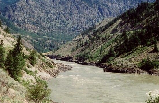 A rapid-filled river runs through a canyon toward the photographer. 