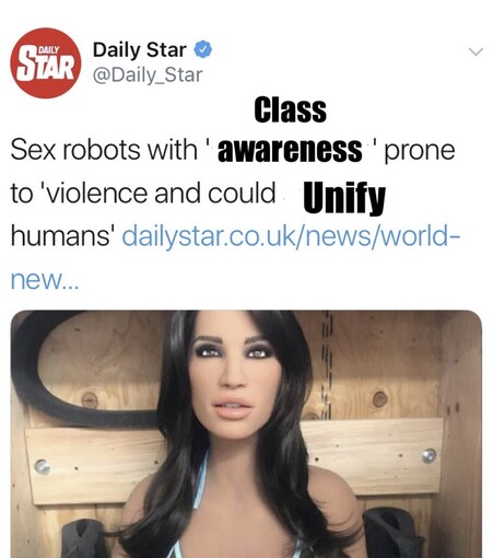 Altered Tweet from daily star that’s says Sex robots with ' class awareness 'prone to 'violence and could Unify humans’. 

Picture of sex robot 