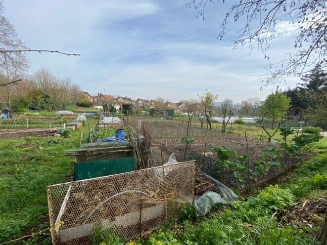 Jardins ouvriers à Saint-Etienne-du-Rouvray juste à côté du tracé de la future autouroute. © Photo Jade Lindgaard / Mediapart