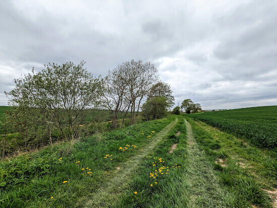 Walk 229: Baldock NE Loop