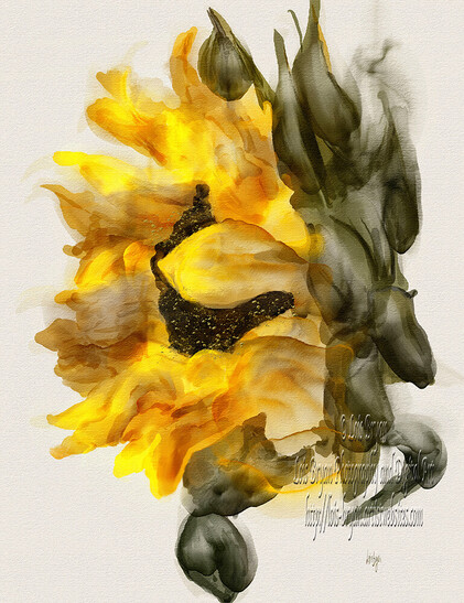 A golden sunflower in profile, its golden petals fluttering, seemingly bringing you closer!  

"Sunflower In Profile" … I'm still all about flowers, apparently!!  This is my newest … sketched and hand painted from my own photography in #Rebelle.  Not Artificial Intelligence / Human made art!  😁

See it and all the products it's available on at my website:  https://lois-bryan.pixels.com/featured/sunflower-in-profile-lois-bryan.html

#flowers #art #giftideas #LoisBryan #sunflowers #digitalhandpainting #NotAi #NotArtificialIntelligence #HumanMade #BuyIntoArt
