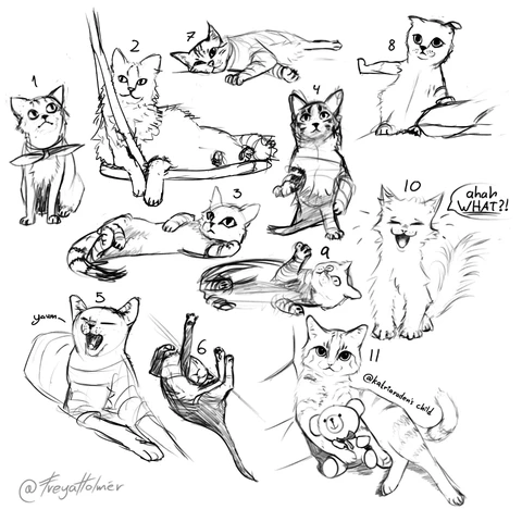 11 cats drawn by freya in procreate