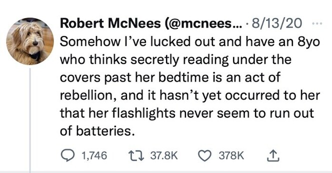 Robert McNees (@mcnees….. • 8/13/20
Somehow I've lucked out and have an 8yo who thinks secretly reading under the covers past her bedtime is an act of rebellion, and it hasn't yet occurred to her that her flashlights never seem to run out of batteries.

Replies 1,746
Retweets 37.8K
Likes 378K