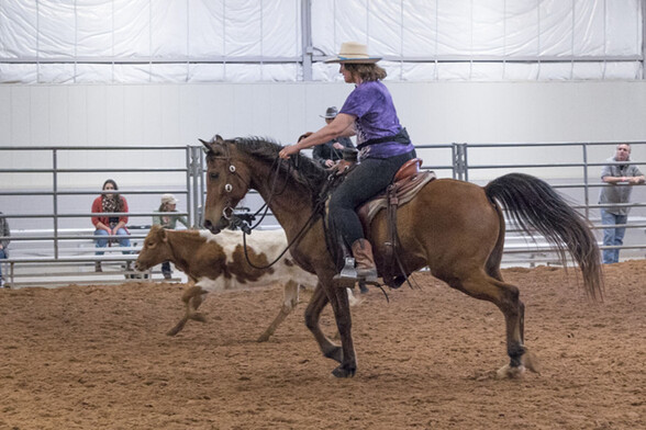 Jazal and I at a Buck Brannaman clinic, chasing a cow. No, we didn't know what we were doing but it was fun anyway...