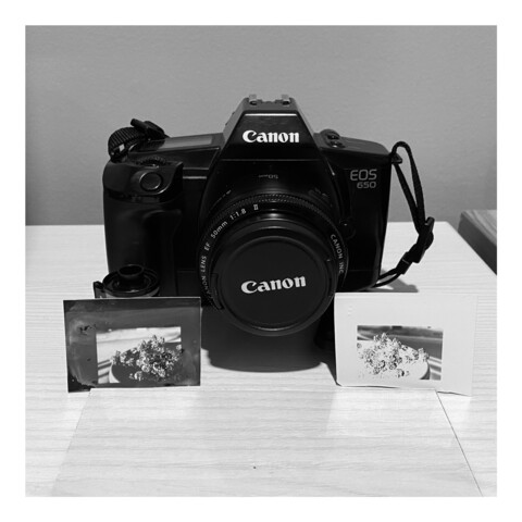 A 35mm film camera sits with two black and white contact prints.