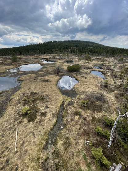 Only recently learnt the english term — peat bog. A significant CO2 silo.