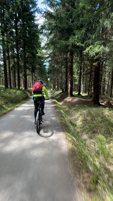 Jirka rides on a lovely forrest road