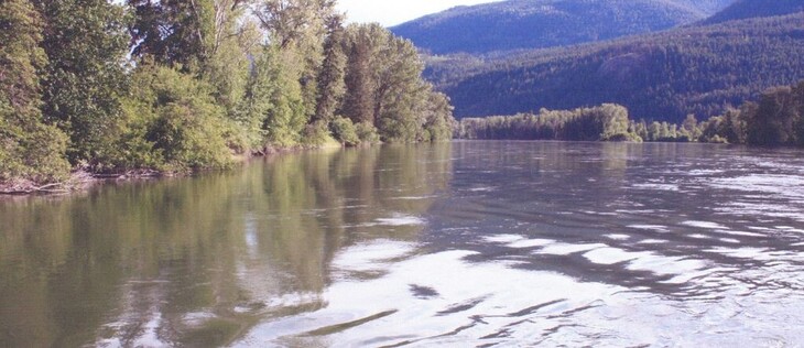 A ripple in the water of a tree lined river. In the mid and far distance, hills covered with trees. 