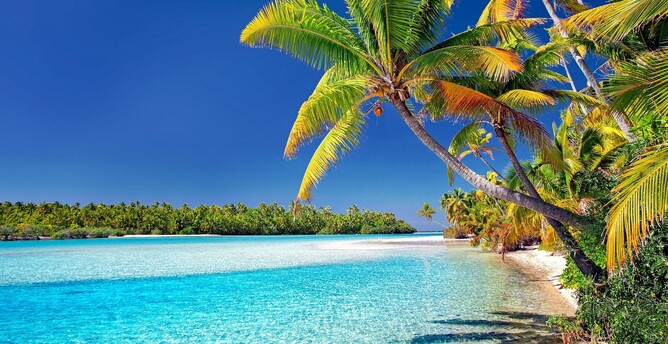 The Cook Islands are a popular tourist destination, known for their white-sand beaches, clear blue waters, and lush rainforests. The islands are also home to a number of historical and cultural sites, including the Rarotongan marae, a ceremonial site that was once used for religious and political gatherings.