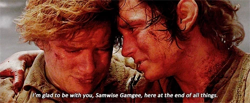 Gif from the film The Return of the King, showing Sam and Frodo, two hobbits lit by the fires of Mordor, holding each other close, head to head, Frodo saying to Sam: I'm glad to be with you, Samwise Gamgee, here at the end of all things.