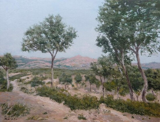 Un cuadro al oleo de la Pedriza en Madrid pintado por Rubén de Luis