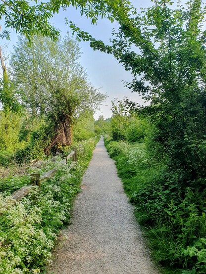 The towpath along the canal leads off into the distance, flanked by late spring vegetation 