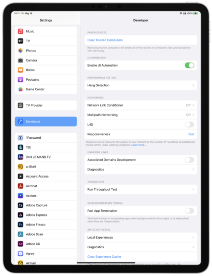 Mocked-up screenshot of iPadOS' Developer Mode settings menu.