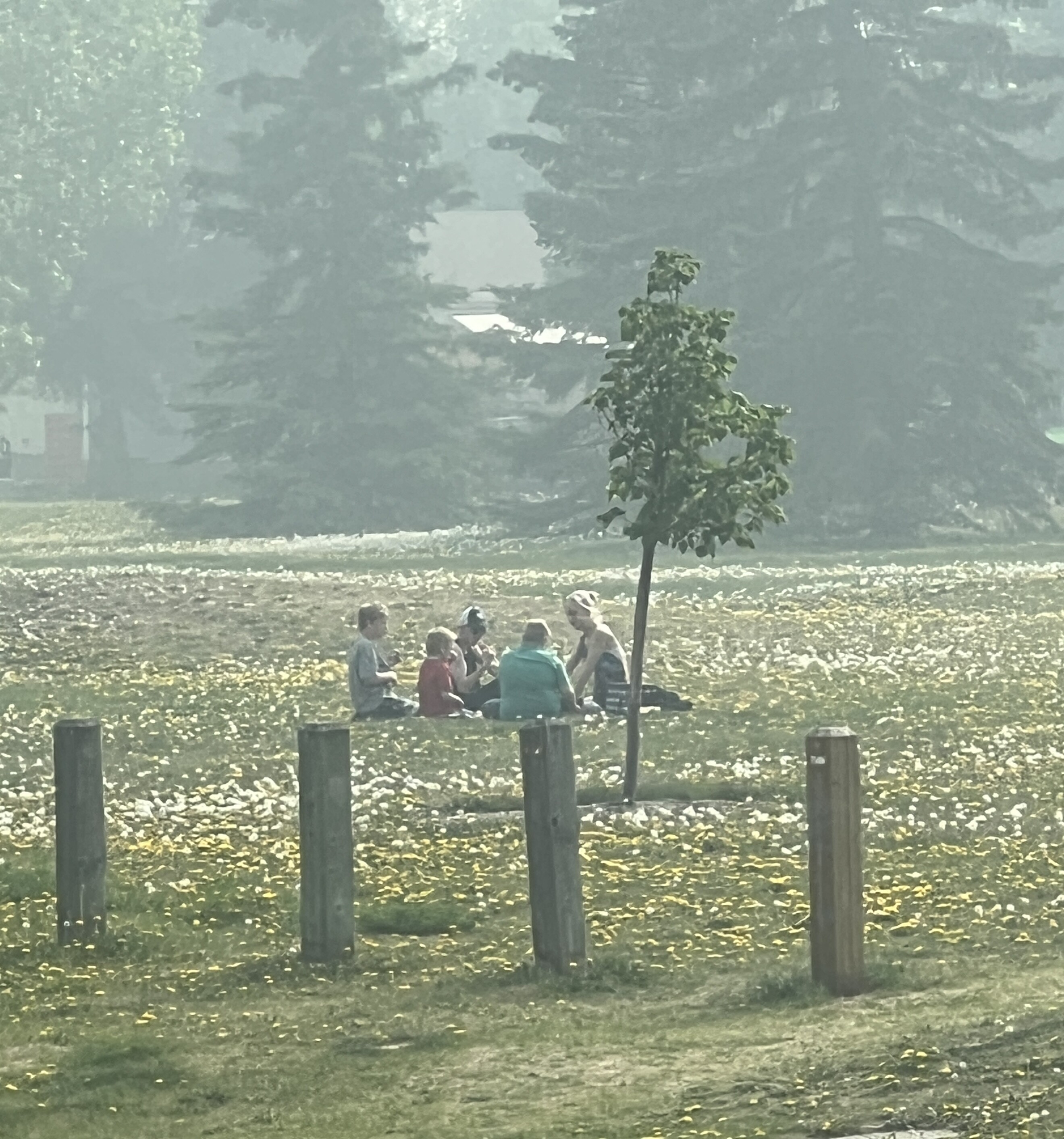 People having a picnic in extremely Smokey conditions with an active air quality statement 