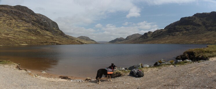 A highland loch with rocky hills on both sides. Moray the dog, wearing his panniers, stood in front of it