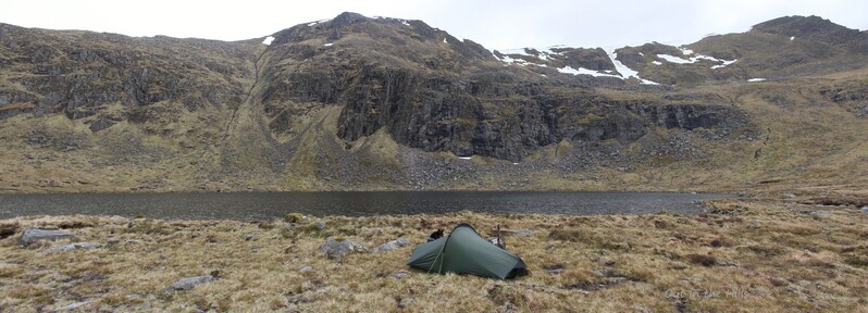 A small tent, with a small lochan behind it, then crags with some snow patches at the back. Moray the dog is peering at the camera over the tent.