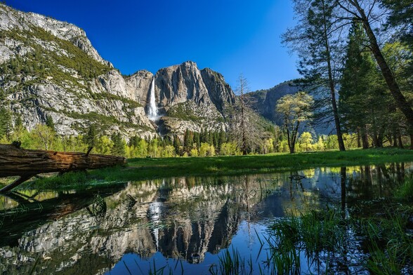 Yosemite National Park is a popular destination for hiking, camping, fishing, rock climbing, and other outdoor activities. The park is also home to a variety of wildlife, including black bears, deer, coyotes, and bighorn sheep. #yosemitenationalpark #yosemite#hiking #camping #fishing #nationalpark