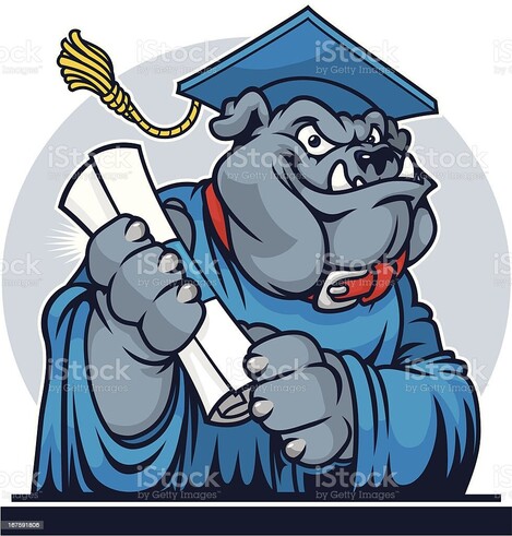 bulldog with diploma
