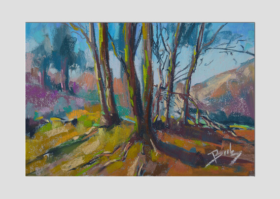 Errwood forest
Original pastels on paper
37x25cm