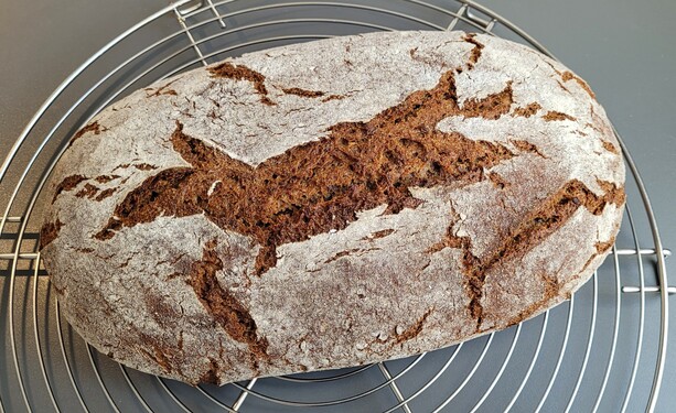 Auf einem Kuchengitter liegt ein Laib Brot, oval, die bemehlte Kruste ist oben längs groß aufgerissen, dazu mehrere kleine Risse rundum. 