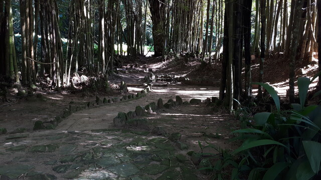 Stone path through trees