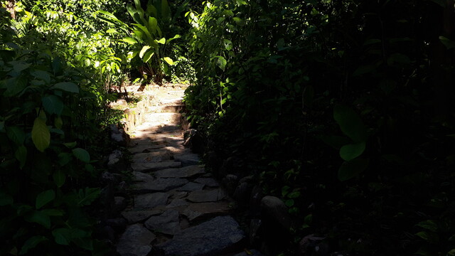 Stone path through bushes and such