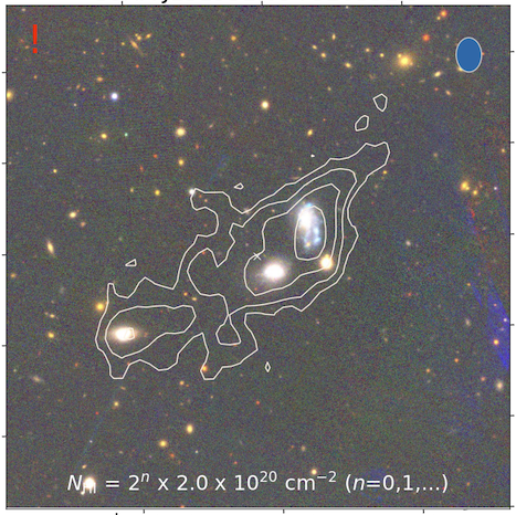 Black starry background, centered on three galaxies.  White contours in the image represent the reservoir of neutral atomic hydrogen gas.  The three galaxies all sit in the same gas envelop (are surrounded by the same contours) suggesting that they are interacting gravitationally.