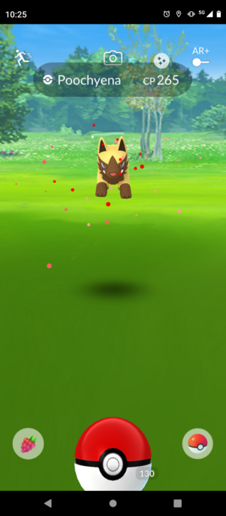 Image of a gold and brown colored shiny Poochyena, jumping into the air