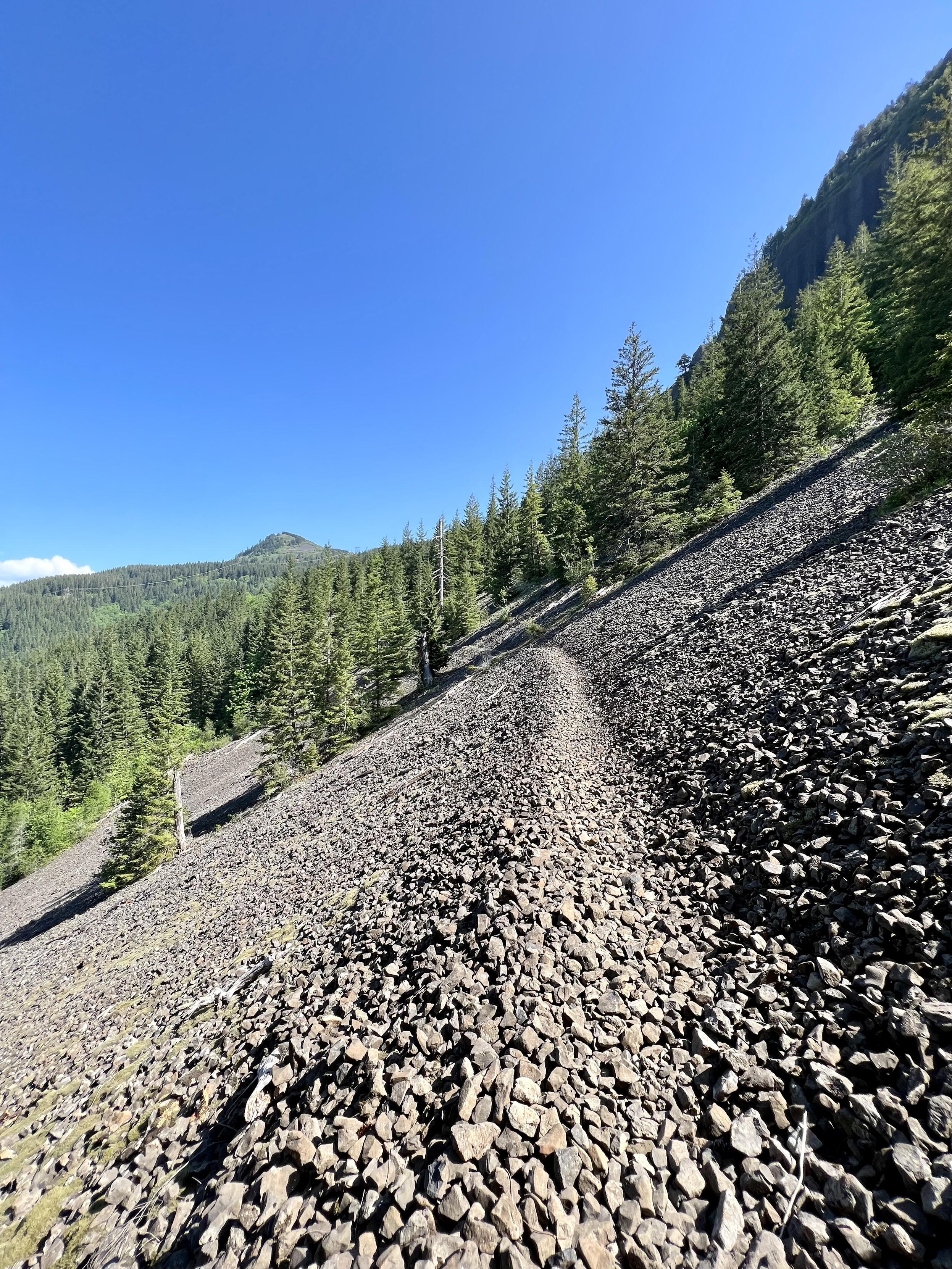 Rocky section of the Pacific Crest Trail in Washington State. The trail goes through a rocky slope with green trees and a small mountain in the distance.