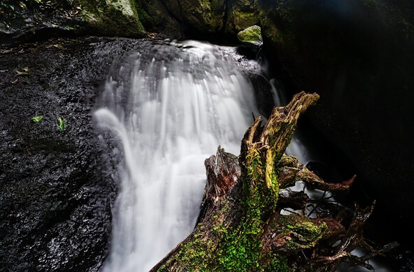 Cascade fall in Queensland 