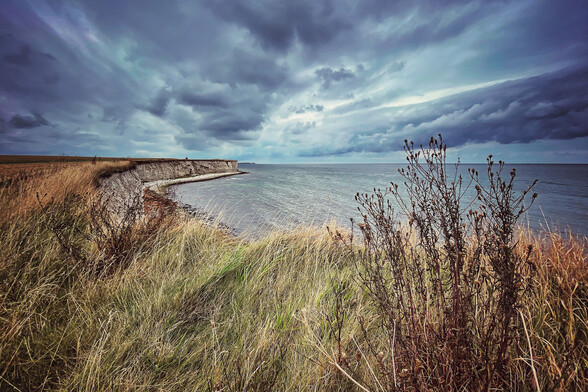 A photo of Sangstrup Klint, a steep coast on the Baltic Sea coast in Denmark, on a cloudy day. 