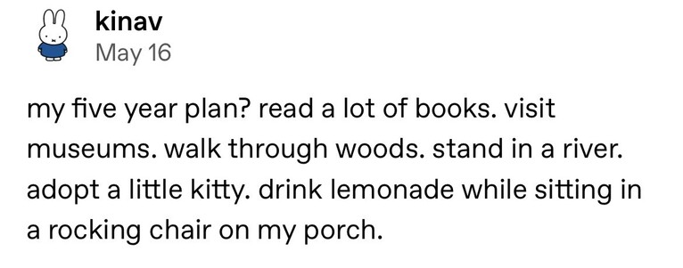 A Tumblr post by @kinav that says: 

my five year plan? read a lot of books. visit museums. walk through woods. stand in a river. adopt a little kitty. drink lemonade while sitting in a rocking chair on my porch.