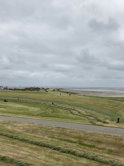 blick über deich und hafengebäude auf juist mit landwirtschaftlichen geräten in der ferne
