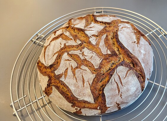 Auf einem Kuchengitter liegt ein runder Laib Brot, oben ist die bemehlte Kruste mehrfach rustikal aufgerissen, mit großen und kleinen Rissen. 