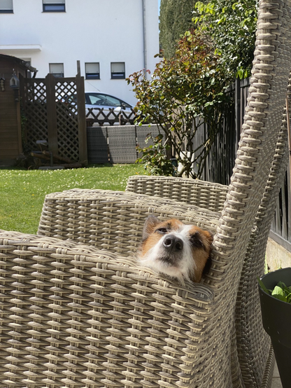 Me sitting in the garden chair enjoying the sun
