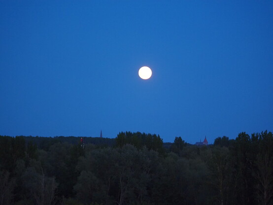 Der fast volle Mond über den Horizont