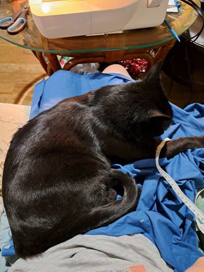 Black kitty laying on sky blue fabric on a lap next to a sewing machine on a glass top table.